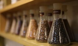 Cara Daftar Izin Edar Obat Tradisional