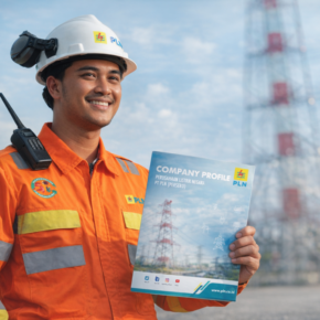 Perusahaan Listrik Negara