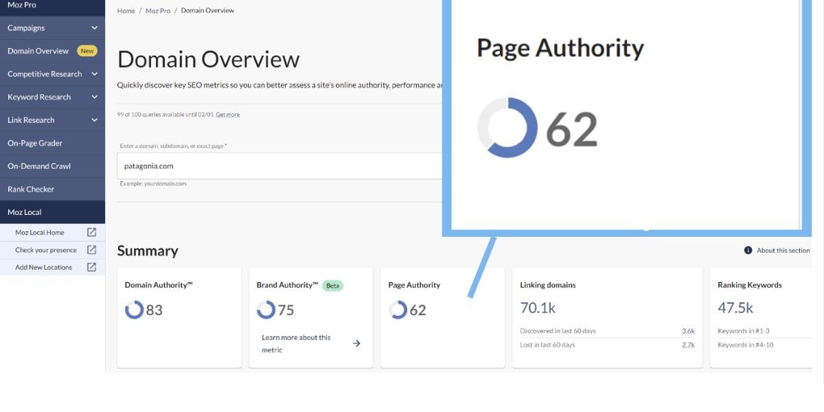 Domain Cara Meningkatkan Page Authority Website agar Lebih Kredibel di Mesin Pencari